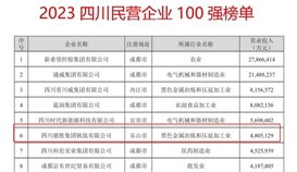 連續(xù)六年！德勝集團(tuán)上榜“四川民營(yíng)企業(yè)100強(qiáng)”